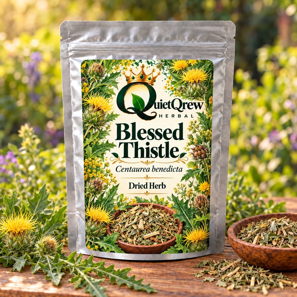 Blessed Thistle — Centaurea benedicta — QuietQrew Herbal label