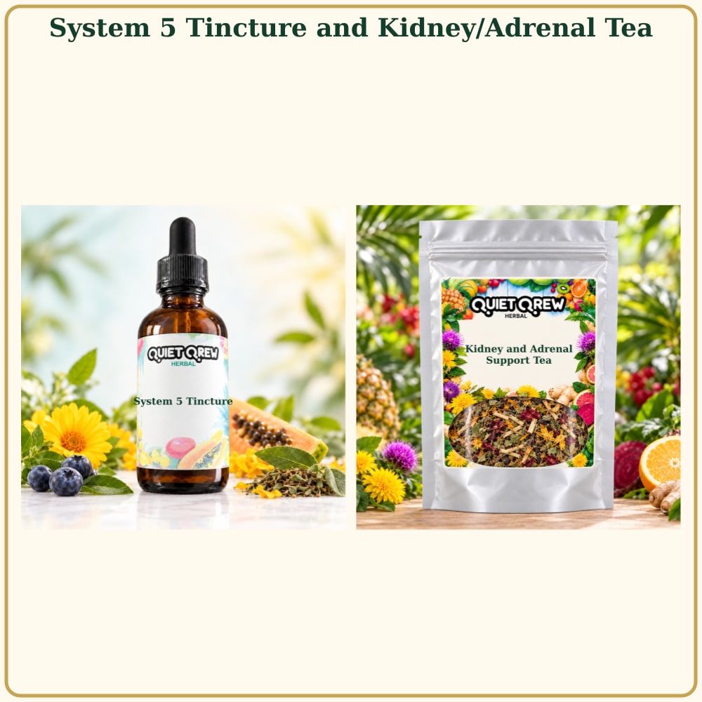 System 5 Tincture and Kidney/Adrenal Tea — QuietQrew Herbal silver pouch packaging