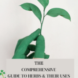 Comprehensive Guide to Herbs.