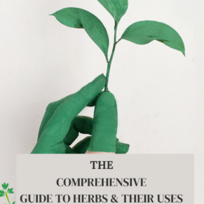 Comprehensive Guide to Herbs.
